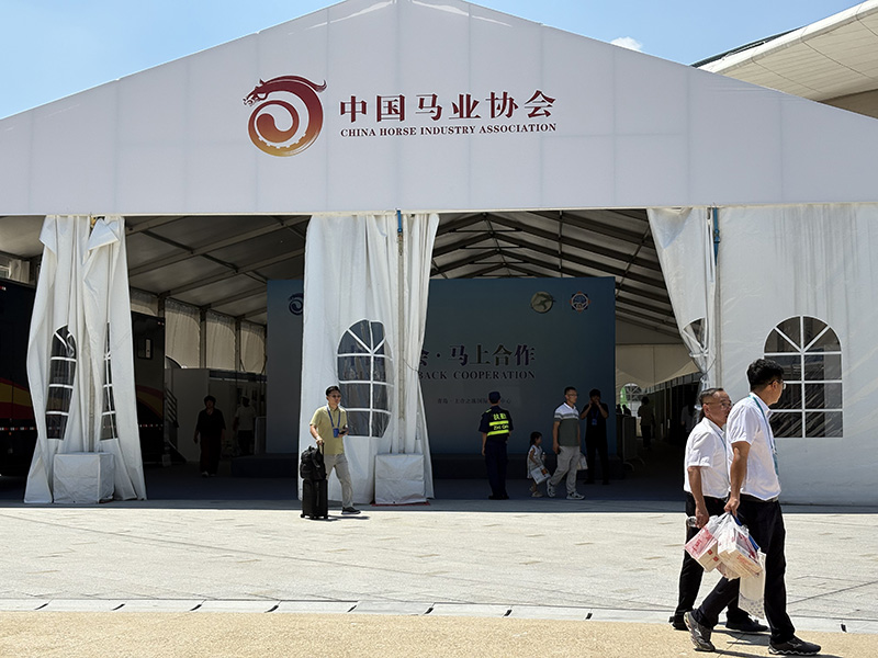 Haozhifeng Horseshoe Exhibition Arrangement