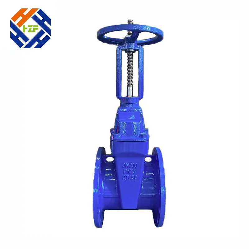 Ductile Iron Flange Gate Valve
